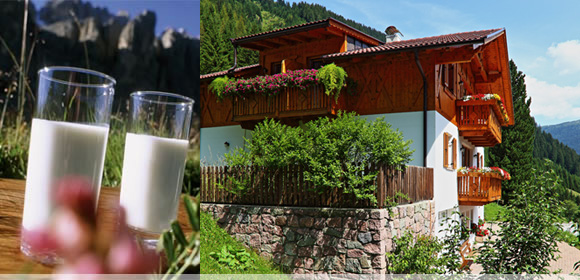 Winkhof - Vacanze in fattoria - Val Sarentino - Alto Adige